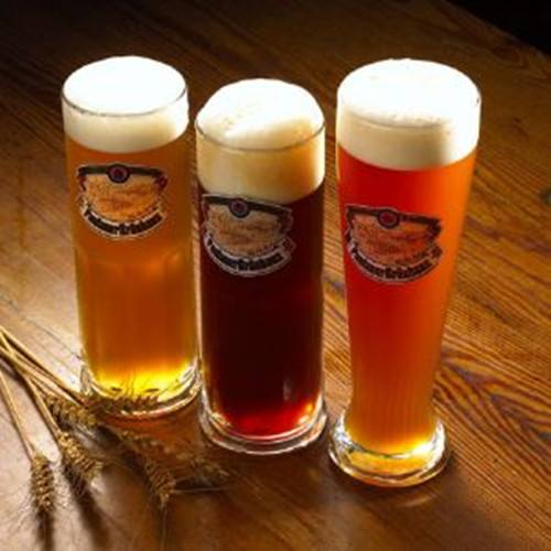 300L Micro Brewing Machine