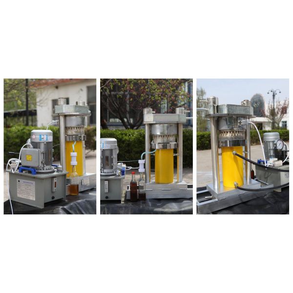 Professional Hydraulic Sesame Seed Oil Press Machine with Engineer's Guide Installation