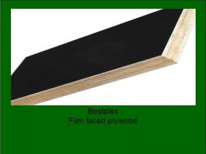 Best brown/black hardwood formwork plywood with WBP glue wholesale