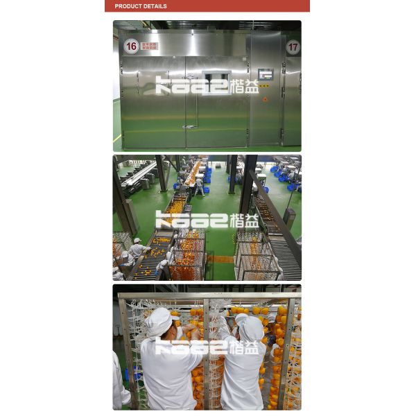 Eat Directly Premium Grade Dried Persimmon Processing Line For Food Processing Plant