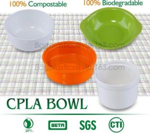 China Eco-friendly freshness preservation, waterproof food containers, PLA dinner plate for restaurant use, pla food box for on sale