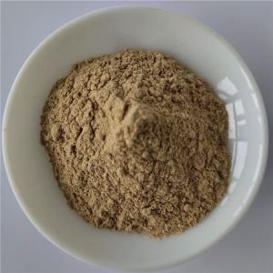 Best Glossy Privet Fruit Extract For Fatty Liver Care wholesale