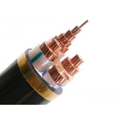 China 70Sqmm Concentric Conductor XLPE Insulated Power Cable YJV N2XCY for sale