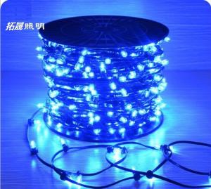 Best Christmas Tree Manufacturer IP65 LED String Lights 12V LED Clip Light for Australia wholesale