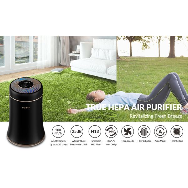 H13 True HEPA Filter PM2.5 Air Filter 24dB Low Noise For Home Allergies Pets Hair