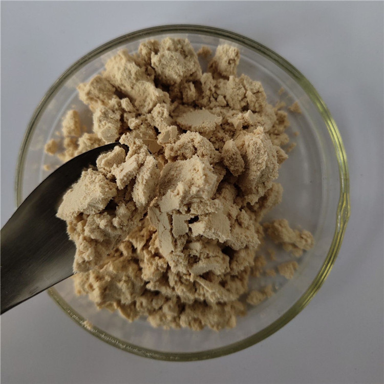 health care product gmp anemone root extract with best price