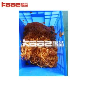 Best High Output Dried Persimmon Processing Line Persimmon Peeling Machine wholesale