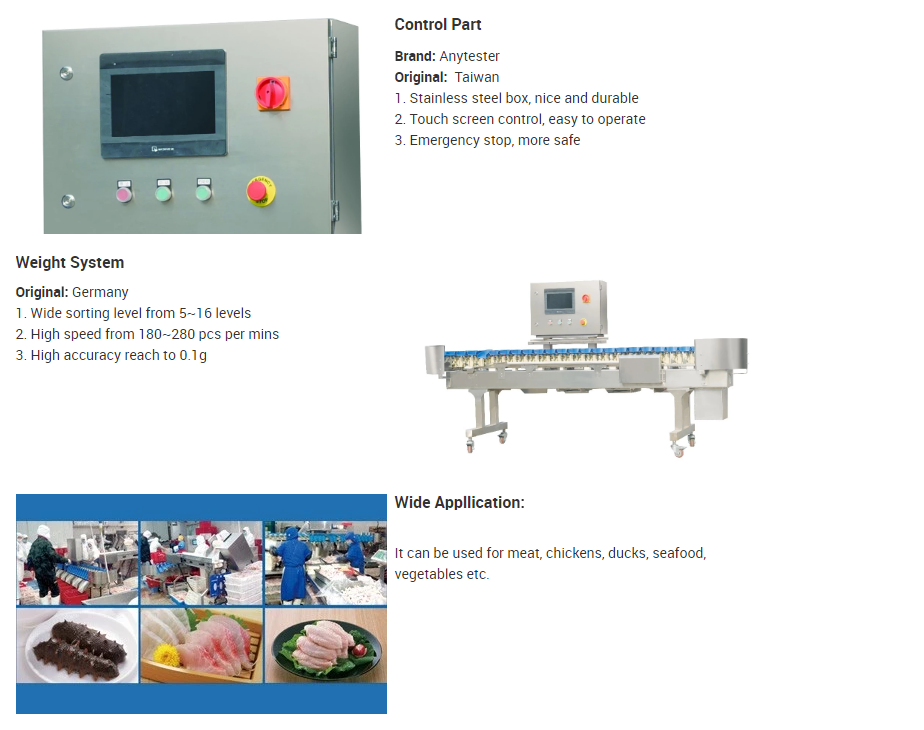 LCD Shrimp Seafood Seacucumber Weight Sorting Machine