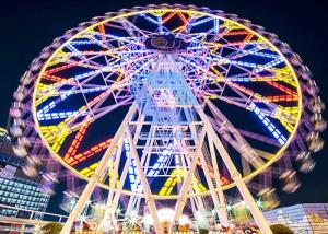 42M big fairground park rides ferris wheel observation wheel outdoor children games