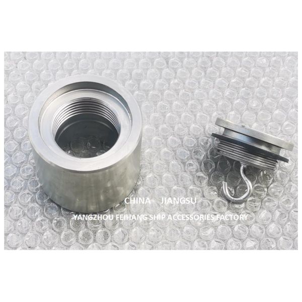 C50 Stainless Steel Sounding Pipe Head Sounding Plug With O-Ring , Material Copper