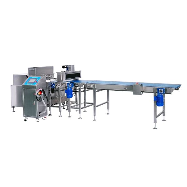 Fruit Bar & Date Bar Production Line High-Quality Snack Manufacturing Solutions
