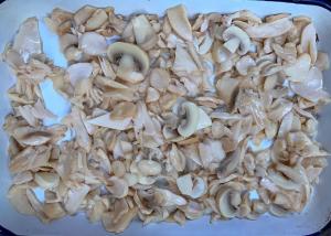 China Salty Steamed King Oyster Canned Mushroom 150g on sale