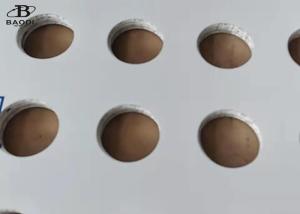 1m X 2m Filter Screen Punching Plate Perforated Metal Mesh