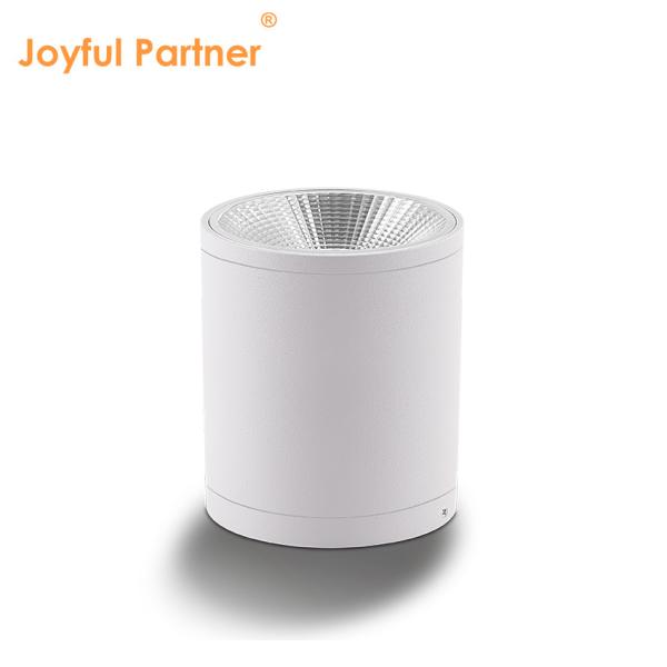 Cheap LED Dark Cylinder Wall Mounted Lighting For Outdoor Garden Wall Daylight COB Al Material With OEM Services for sale