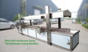 China 500KG/H Industrial Frying Machine LNG Chicken French Fries Machine on sale
