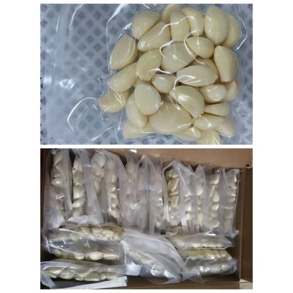 HACCP Nitrogen Filled Packing Peeled Garlic Cloves