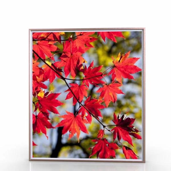 Cheap 43 Inch Wifi Cloud Digital Picture Frame LCD Signage Android Photo Frame for sale