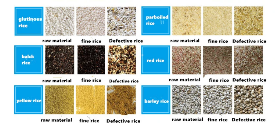 10 Chute Rice Color Sorting Machine Multifunction CCD Camera Rice Color Sorter