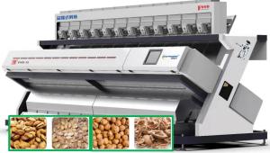China 12 Chute Peanut Color Sorter / Cashew Colour Sorting Machine 1 year Warranty on sale