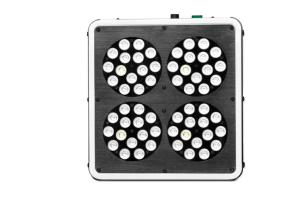 Best Intelligent Red / Blue LED Grow Lamp Safe Output Low DB LED Indoor Grow Lights wholesale