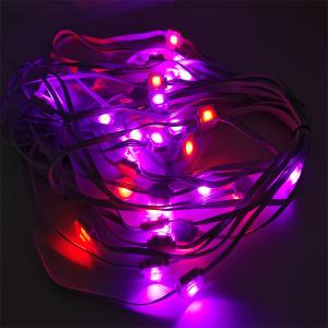 Outdoor Decoration LED Eave Lights with DC24V Operating Voltage and IP67 Waterproof
