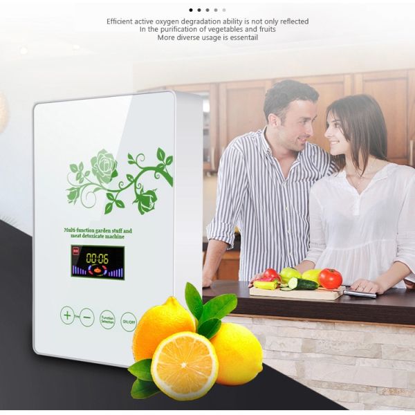 HOMEFISH Commercial Air Purifier Kitchen Use Active Oxygen Fruit And Vegetable Sterilizing Machine 400mg/H